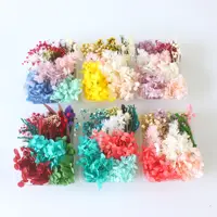 1 caixa de tipos de flores de criação manual, flores secas preservadas naturais para artesanato de resina
