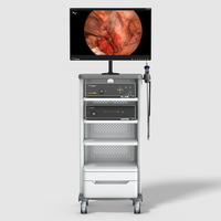 Système chirurgical électrique avec caméra endoscopique FHD IKEDA YKD-9103 pour ORL et laparoscopie