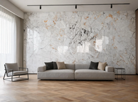 Marbre blanc quatre saisons, base blanche naturelle, veiné gris-doré, écologique, imperméable, durable, design moderne, salle de bain, salon