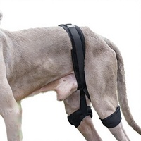Attelle de soutien pour pattes arrière de chien, ceinture de correction pour articulation de la hanche, attelle de genou pour rééducation des lésions des ligaments, protection articulaire