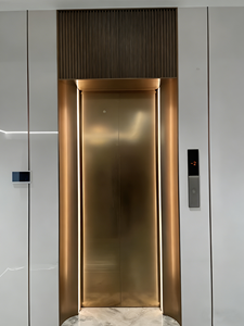 <span class=keywords><strong>Ascenseur</strong></span> de passagers moderne en acier inoxydable et en verre avec une conception sûre et durable, installation facile, entraînement VVVF pour une utilisation intérieure/extérieure - Product Image 1