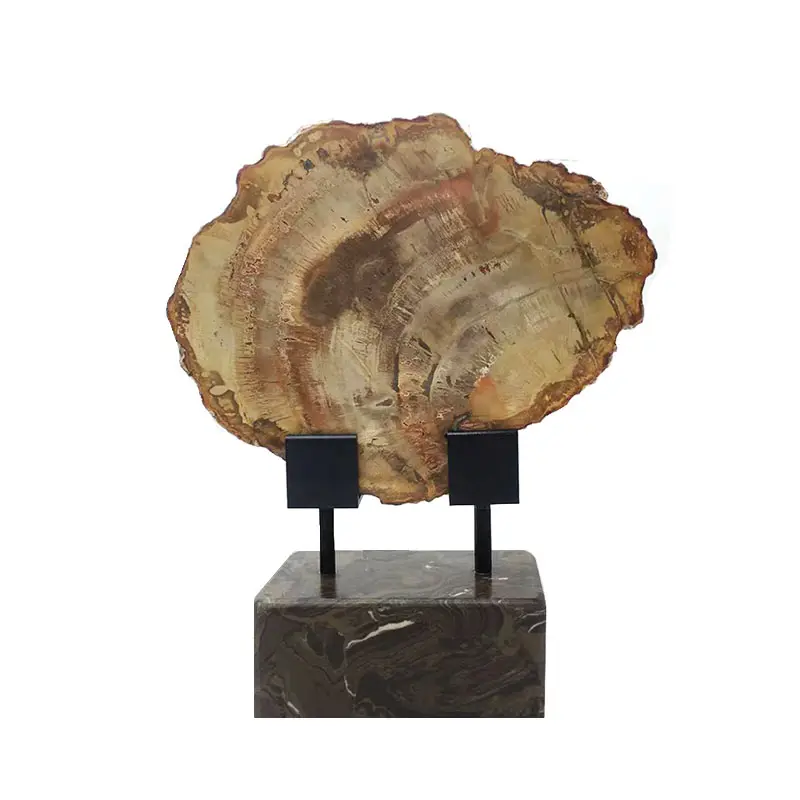 天然石化木材スライススラブ石英結晶鉱物標本治癒