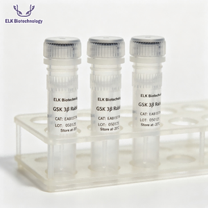 Anticorps polyclonaux de lapin <span class=keywords><strong>TIGAR</strong></span>, pour la recherche scientifique - Product Image 5
