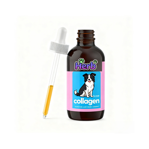 ODM/OEM Vitaminas D en Gotas con Calcio para Perros y Gatos - Apoyo Digestivo para Mascotas de Todas las Edades con Sensibilidad Digestiva - Product Image 1