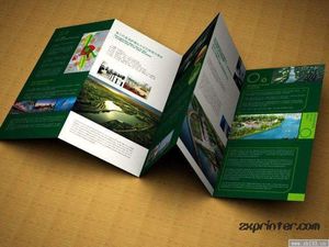 Diseño de folletos de la Academia personalizado para el programa educativo Impresión de folletos Impresión offset Promoción de inscripción de papel de Arte de alta calidad - Product Image 6