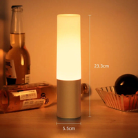 Décoration flexible de lumières de boîte de nuit LED sans fil portables avec des caractéristiques de fantaisie d'ambiance de charge de batterie