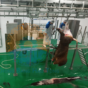 150 cabezas por día de ganado línea de sacrificio - Product Image 3