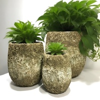 Pot Tanaman Semen Serbaguna Indoor/Outdoor untuk Dekorasi Rumah, Tanaman, Bunga, Penggunaan di Pusat Perbelanjaan, Kapasitas 50-100L, Modern
