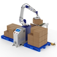 Paletizador de Elevación JINWEI DS-CR25-G/S de 25 kg y 1798 mm, Motor PLC de 2500 W, CE ISO 10218, 9-13 piezas/min para Línea de Producción Industrial