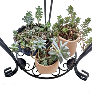 Supporto per Piante a 2 Livelli <span class=keywords><strong>in</strong></span> Metallo Antiruggine, Espositore Alto per Vasi di Fiori, Supporto <span class=keywords><strong>in</strong></span> <span class=keywords><strong>Ferro</strong></span> <span class=keywords><strong>Battuto</strong></span> per Patio, Balcone e Arredamento Casa - Product Image 5