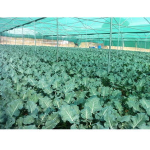 Structure en filet vert durable et haute résistance pour serre, avec filet d'ombrage vert résistant aux UV pour légumes et fruits - Product Image 1