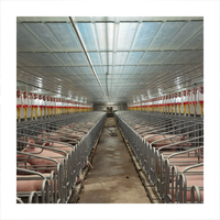 Structure en acier léger préfabriquée pour élevage porcin, hangar pour bétail avec services de soudage et de pliage, certifiée CE, couleur personnalisée