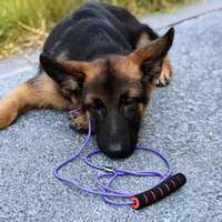 NOVIPET Ensemble de laisses pour chien en PVC imperméable, robuste, avec anneau en D en alliage de zinc, gaufré, écologique, anti-traction, pour la promenade quotidienne