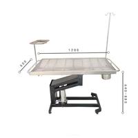 Table d'opération vétérinaire en acier inoxydable à température constante, simple et pratique, alimentée par charge, pour hôpital vétérinaire