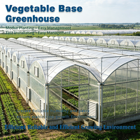 Grande serre tunnel multi-chapelles en PE avec film anti-goutte, taille personnalisable pour l'agriculture maraîchère