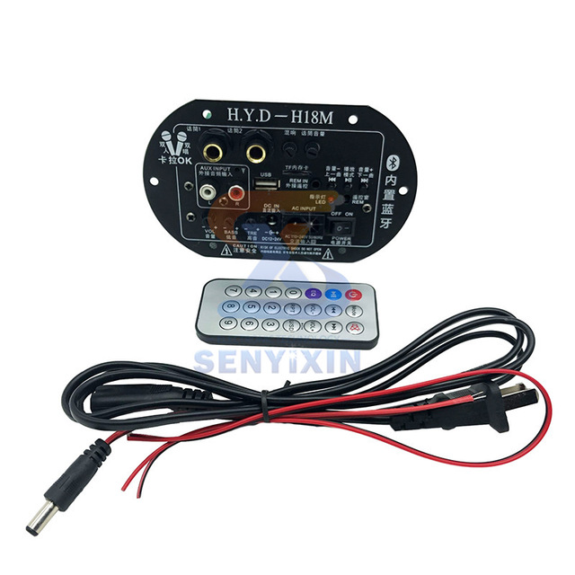 12V24V220V Power Amplifier Board Speaker Main Board Car Home Dual Microphone High Power bluetooth Power Amplifier Board
