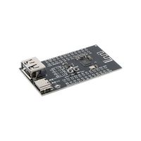 Placa de Desarrollo CH582M, Módulo Microcontrolador RISC-V de Bajo Consumo con BLE5.3, Wifi, Bluetooth, Doble USB