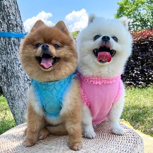 Venta al por mayor Arnés para perros Correa Conjunto Lindo Arnés para perros Chaleco Cachorro Correa Perlas Ala Ajustable Gato Arnés Mascota Waling Correa para perro - Product Image 5