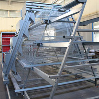 Nouvelle machine d'élevage de poulets entièrement automatique avec système d'alimentation, de collecte des œufs et d'élimination du fumier, construction en acier galvanisé