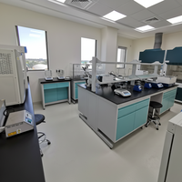 Meubles de laboratoire dentaire modernes, table en acier résistant aux acides et aux alcalis, plan de travail en résine phénolique, surface en époxy, certifiée CE, clinique