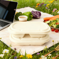 ECO 100% Biologisch afbreekbaar wegwerp servies, afhaallocatie doos, op maat bedrukt rechthoekig bagasse saladekom met bagasse/PET/PP deksel