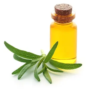 ISO9001 And GMP Manufacturer Supplies Essential Oil Natural Rosemary Oil For Hair Growth Repels Certain Bugs Ease Stress