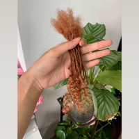 KAMA Sister Locs: Dreadlock Permanenti Fatti a Mano con Punte Ricci, Extension di Capelli Veri Brasiliani Remy