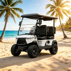 Voiturette de golf électrique personnalisée, buggy tout-terrain, chariot utilitaire polyvalent pour usage hors route, homologuée DOT CE EEC - Product Image 1