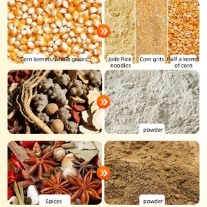 Molino de <span class=keywords><strong>Pellets</strong></span> de Alimento para Aves de Corral de 1 Tonelada/h con Acondicionador - Product Image 6