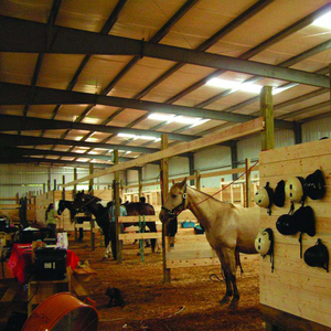 Haute Qualité Équitation Arena Préfabriqué Cheval Stalle Barndominium Bâtiment Maison Kit Structure En Acier Métal Entrepôt Préfabriqué - Product Image 2