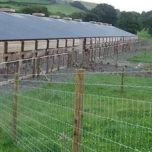 Vendita diretta in fabbrica recinzione in tessuto zincato a caldo per capre/pecore