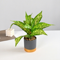 Fleurs artificielles, feuillage vert, petits bonsaïs, ornements décoratifs créatifs, accessoires tendance pour la maison - Direct Jinhua Plants
