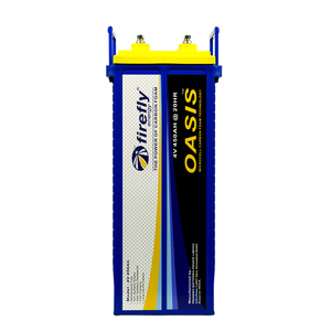 Batería de Plomo-Ácido de Alto Rendimiento de Cuatro Voltios y Cuatrocientos Cincuenta Amperios-Hora, Fabricada con Innovación en Espuma de Carbono Firefly Oasis - Product Image 4