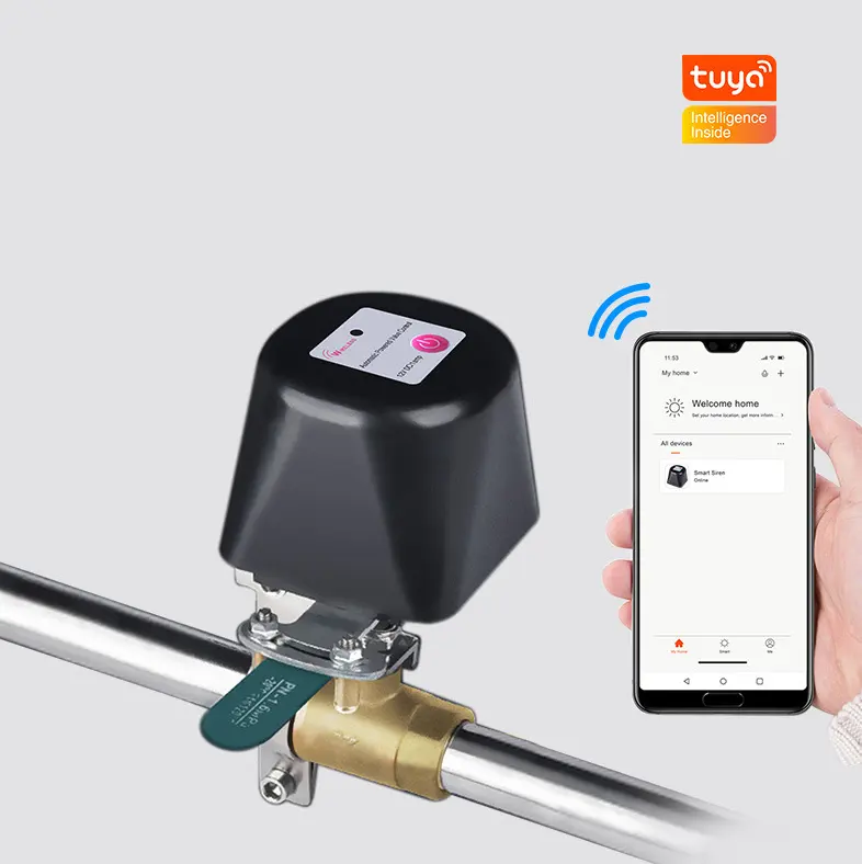 Vanne d'eau de contrôle de manipulateur de capteur de gaz Wifi intelligent DN15 DN20 contrôleur d'arrêt Tuya Alexa Google Assistant SmartLife