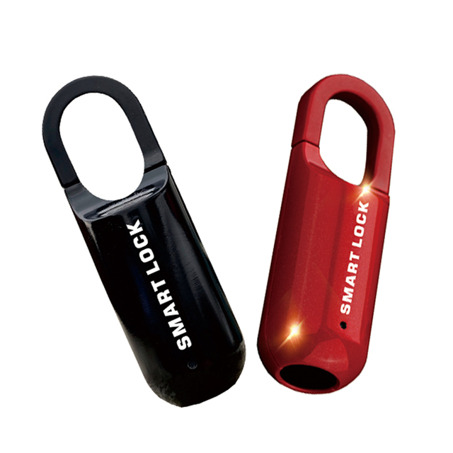 Small Mini  Biometrics  Fingerprint Gym Padlock  Bag Luggage Backpack Lock