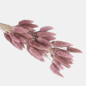 Vente en gros de fleurs artificielles en soie pour la décoration de bureau à domicile fleurs séchées <span class=keywords><strong>lagurus</strong></span> ovatus lapin préservé queues de lapin herbe - Product Image 5