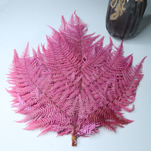 Reale Vita Eterna Fiori Grandi Foglie di Felce Fiddlehead Materiale per Tutti I Giorni Della Decorazione Garniture Decorazione - Product Image 5