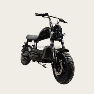 Zware Elektrische Stadsfiets Drieversnellingsbak Schijfrem 1170Mm Wielbasis En <span class=keywords><strong>200Kg</strong></span> Laadvermogen - Product Image 5