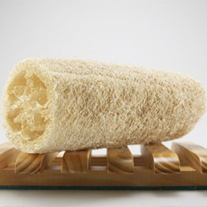 Commercio all'ingrosso puro naturale di alta qualità spugna di luffa in polvere spugna di luffah estratto di polvere solubile in acqua in polvere - Product Image 2