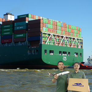 Envío Marítimo Puerta a Puerta Económico y Rápido, Agente de Carga de <span class=keywords><strong>China</strong></span> a Estados Unidos, Precio de Envío FBA - Product Image 3