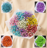 UKIQUEEN Vente en gros de fleurs de gypsophile préservées, fleurs de gypsophile éternelles pour mariage et décoration intérieure