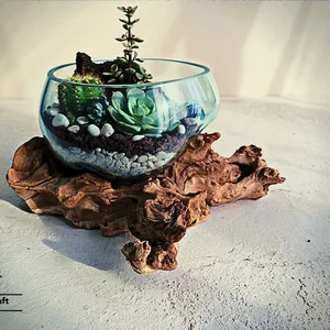 wholesale Modern Closed Terrarium Kit With Plants Containers Tabletop Vase Garden Growing Indoor Plant Concrete Base Glass Terra