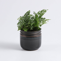 Super septembre vente en gros pot de cactus succulent créatif moderne jardinière en céramique décor à la maison pots de fleurs