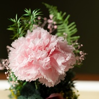 Rose séchée sous cloche en verre – Décoration élégante pour la maison, cadeau idéal pour la Saint-Valentin, la fête des enseignants, souvenir et occasions spéciales