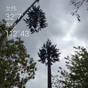 10-80m Viễn Thông ăng ten mast bát giá<span class=keywords><strong>c</strong></span> thép <span class=keywords><strong>c</strong></span>ự<span class=keywords><strong>c</strong></span> ngụy trang tín hiệu thông tin liên lạ<span class=keywords><strong>c</strong></span> tháp - Product Image 2