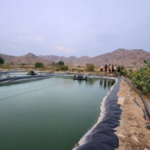 Revestimiento de estanque de piscicultura para estanque agrícola Geomembrana Relleno sanitario Tratamiento de suciedad impermeable Precio de revestimiento de estanque - Product Image 3