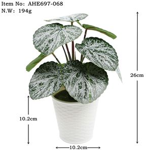Plantes artificielles en pot Guanyi 10cm-30cm en caoutchouc souple pour la décoration de la maison, du bureau et des mariages - Product Image 3