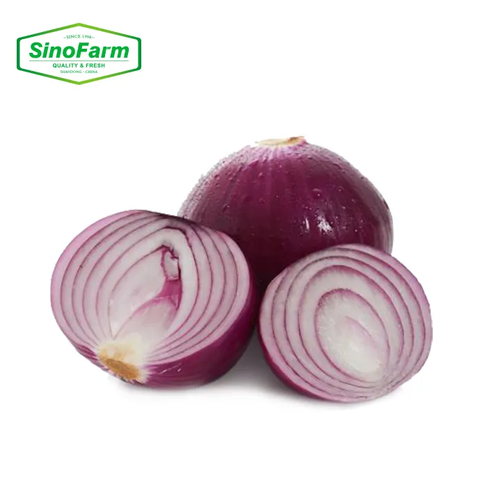 Exportable Round Onion Price Per Ton Wholesale Red Onion China Yellow Onion Fresh Vegetable