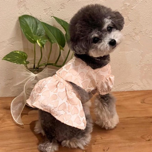 Vestido para perros con diseño de jacquard de corazón, manga abullonada, cuello cuadrado, diseño de dos piezas, lindo atuendo de princesa para cachorros, para perros pequeños - Product Image 2