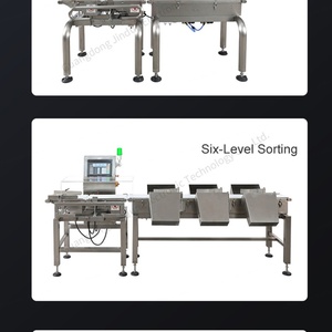 用于渔业水果行业的三级分选液晶触摸屏智能称重分选机 - Product Image 5